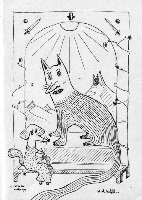 Cat as if drawn in the middle ages
