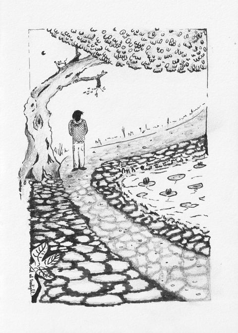 Sketches from this week