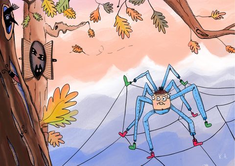 The spider in autumn
